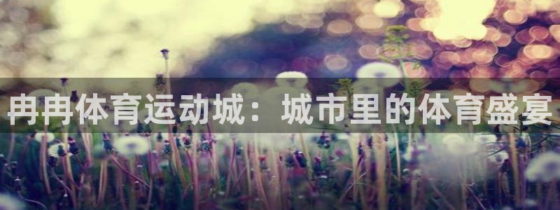 五星体育张莉宝：冉冉体育运动城：城市里的体育盛宴