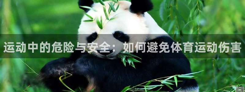 五星体育台：运动中的危险与安全：如何避免体育运动伤害