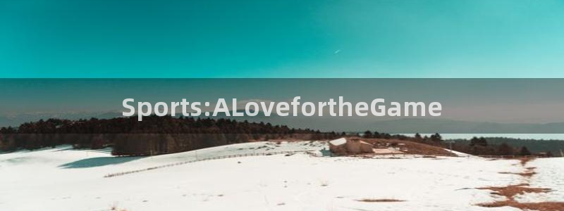 五星体育app叫什么：Sports:ALovefortheGame