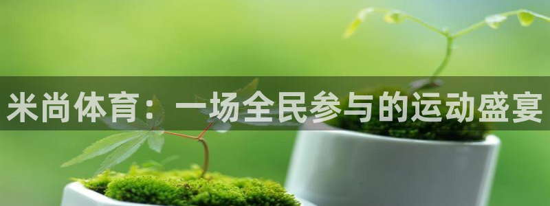 看五星体育：米尚体育：一场全民参与的运动盛宴